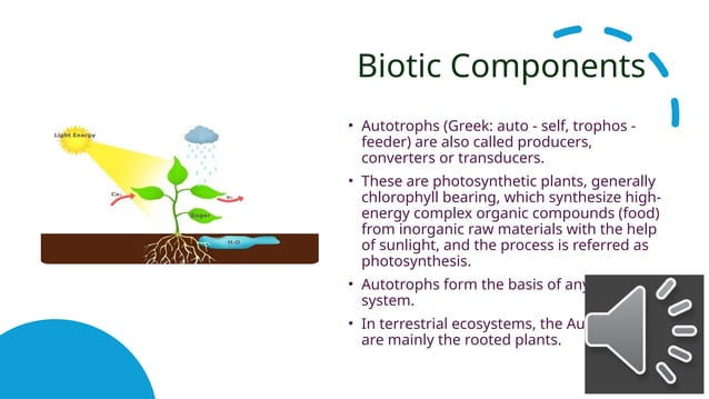 Ecosystem. its structure and functions.. | PPT