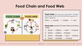 Food Chain and Food Web
Food chain: the sequence of transfers of matter
and energy in the form of food from organism to
other organism.
Corn mouse snake owl
Food web consist of more than one food
chain
1. Grass Zebra Lion Vulture
2. Grass Zebra Vulture
3. Grass Gazelle Lion Vulture
4. Grass Gazelle Vulture
9 Presentation title 20XX
 
