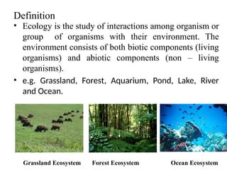 ECOSYSTEM.pptx science class 4 to std 12 | PPTX