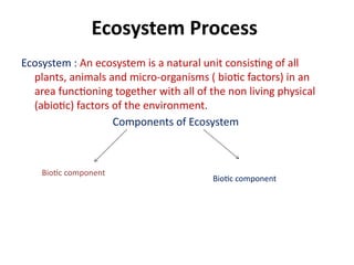 Ecosystem food chain food web biosphere.pptx