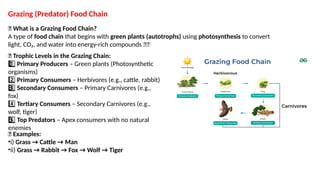 Grazing (Predator) Food Chain
🌿 What is a Grazing Food Chain?
A type of food chain that begins with green plants (autotrophs) using photosynthesis to convert
light, CO₂, and water into energy-rich compounds 🌞🌱
🔗 Trophic Levels in the Grazing Chain:
1 ️
1️⃣Primary Producers – Green plants (Photosynthetic
organisms)
2️⃣Primary Consumers – Herbivores (e.g., cattle, rabbit)
3 ️
3️⃣Secondary Consumers – Primary Carnivores (e.g.,
fox)
4️⃣Tertiary Consumers – Secondary Carnivores (e.g.,
wolf, tiger)
5 ️
5️⃣Top Predators – Apex consumers with no natural
enemies
🧩 Examples:
•i) Grass → Cattle → Man
•ii) Grass → Rabbit → Fox → Wolf → Tiger
 