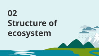 Overview and the functions of ecosystem | PPTX