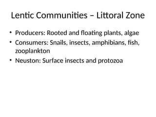 Neuston Insect Ecosystem.pptx hsbsn jx xid xudb did kd. | PPTX