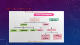 Comprehensive Overview of Ecosystems: Structure, Function, and Types | PPTX