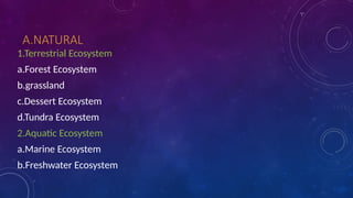 Comprehensive Overview of Ecosystems: Structure, Function, and Types | PPTX