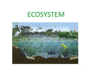 Comprehensive Overview of Ecosystems: Structure, Function, and Types | PDF