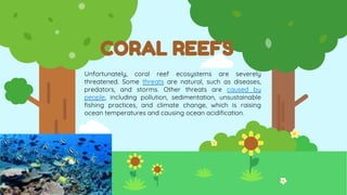 CORAL REEFS
Unfortunately, coral reef ecosystems are severely
threatened. Some threats are natural, such as diseases,
predators, and storms. Other threats are caused by
people, including pollution, sedimentation, unsustainable
fishing practices, and climate change, which is raising
ocean temperatures and causing ocean acidification.
 