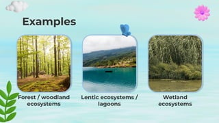 Examples
Forest / woodland
ecosystems
Lentic ecosystems /
lagoons
Wetland
ecosystems
 