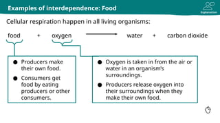 ECOSYSTEM - INTERDEPENDENCE OF ORGANISMS.pptx
