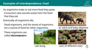 ECOSYSTEM - INTERDEPENDENCE OF ORGANISMS.pptx