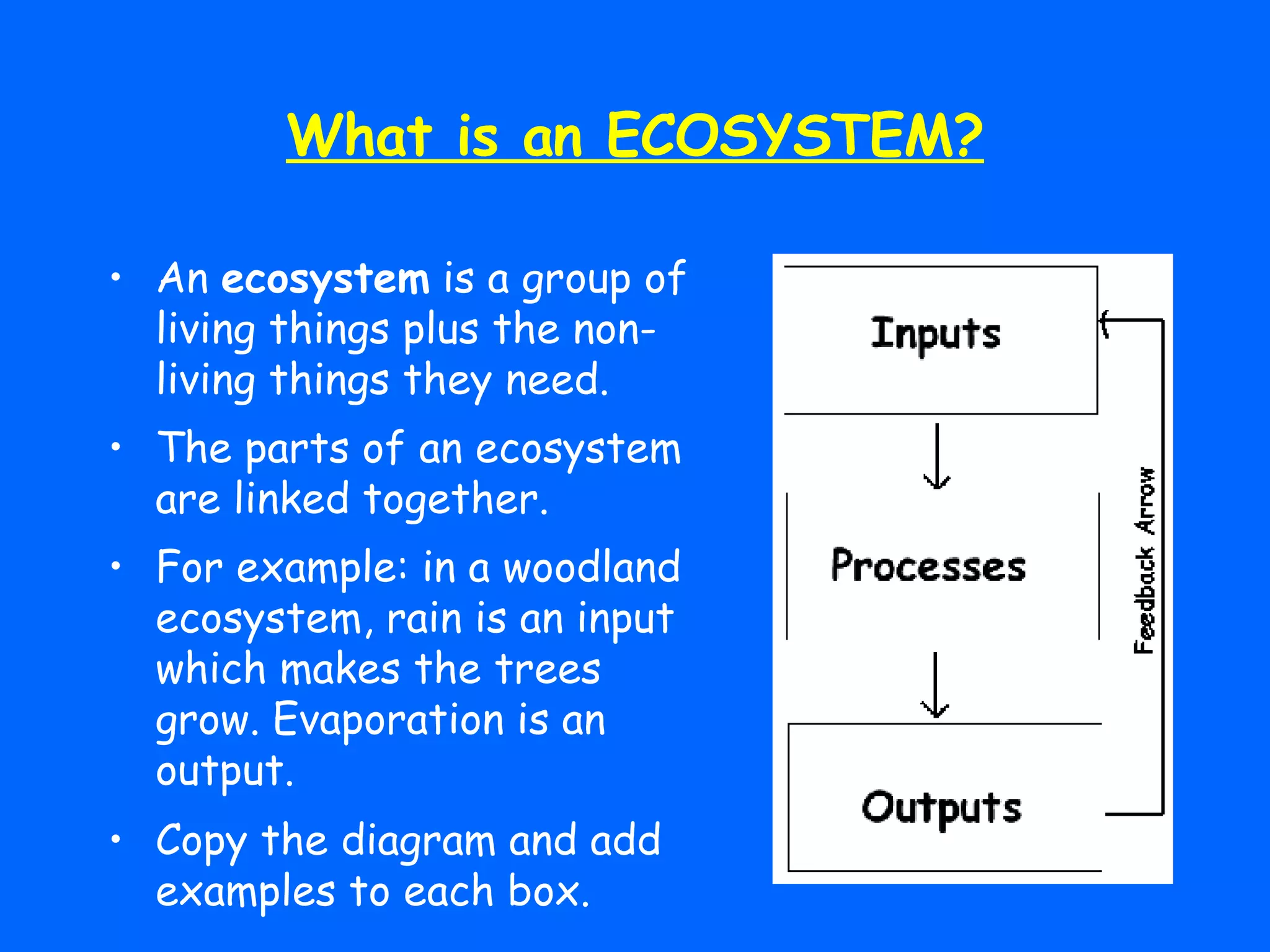 What is an ECOSYSTEM? An  ecosystem  is a group of living things plus the non-living things they need. The parts of an ecosystem are linked together. For example: in a woodland ecosystem, rain is an input which makes the trees grow. Evaporation is an output. Copy the diagram and add examples to each box. 