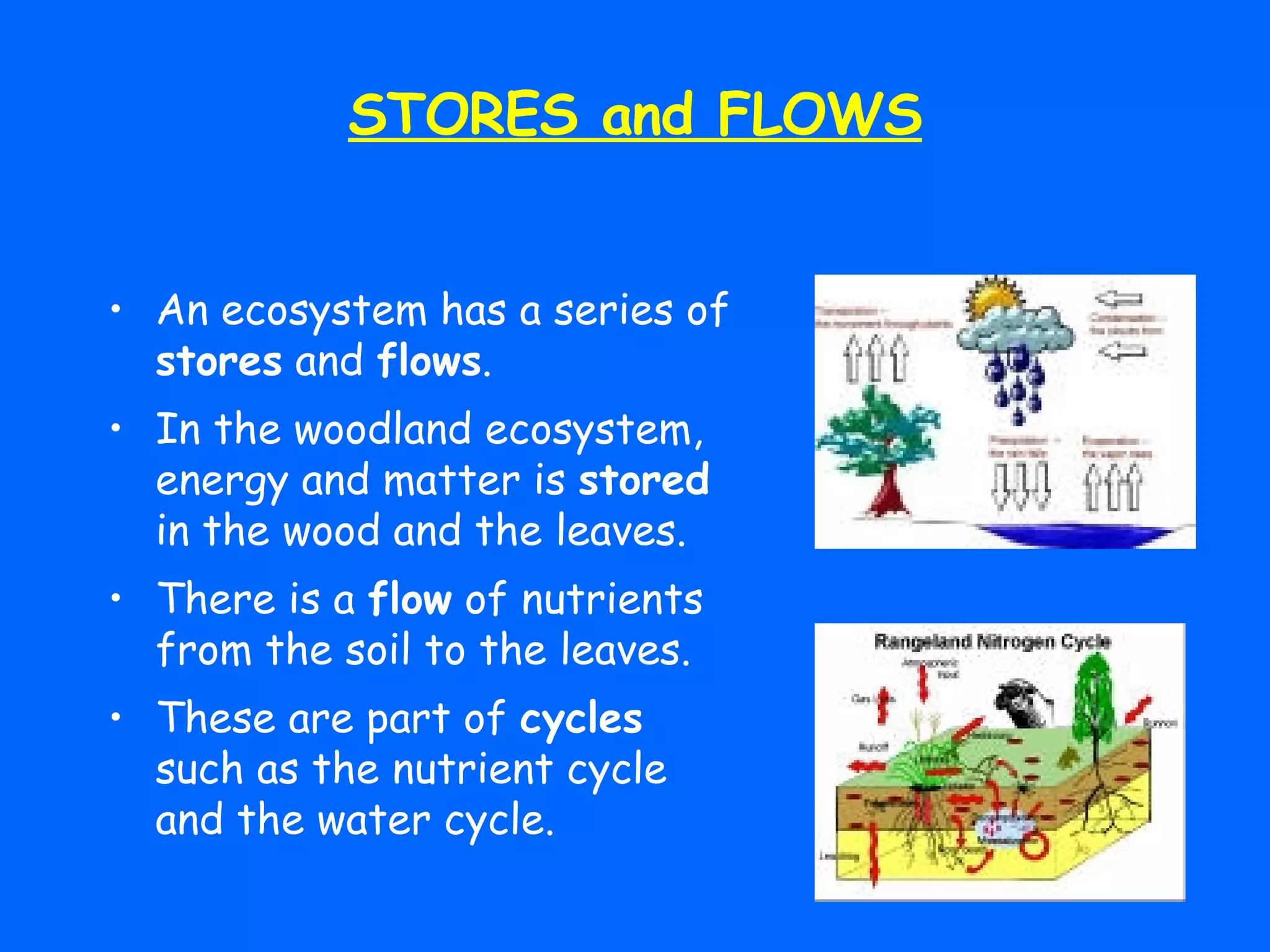 STORES and FLOWS An ecosystem has a series of  stores  and  flows . In the woodland ecosystem, energy and matter is  stored  in the wood and the leaves. There is a  flow  of nutrients from the soil to the leaves. These are part of  cycles  such as the nutrient cycle and the water cycle. 