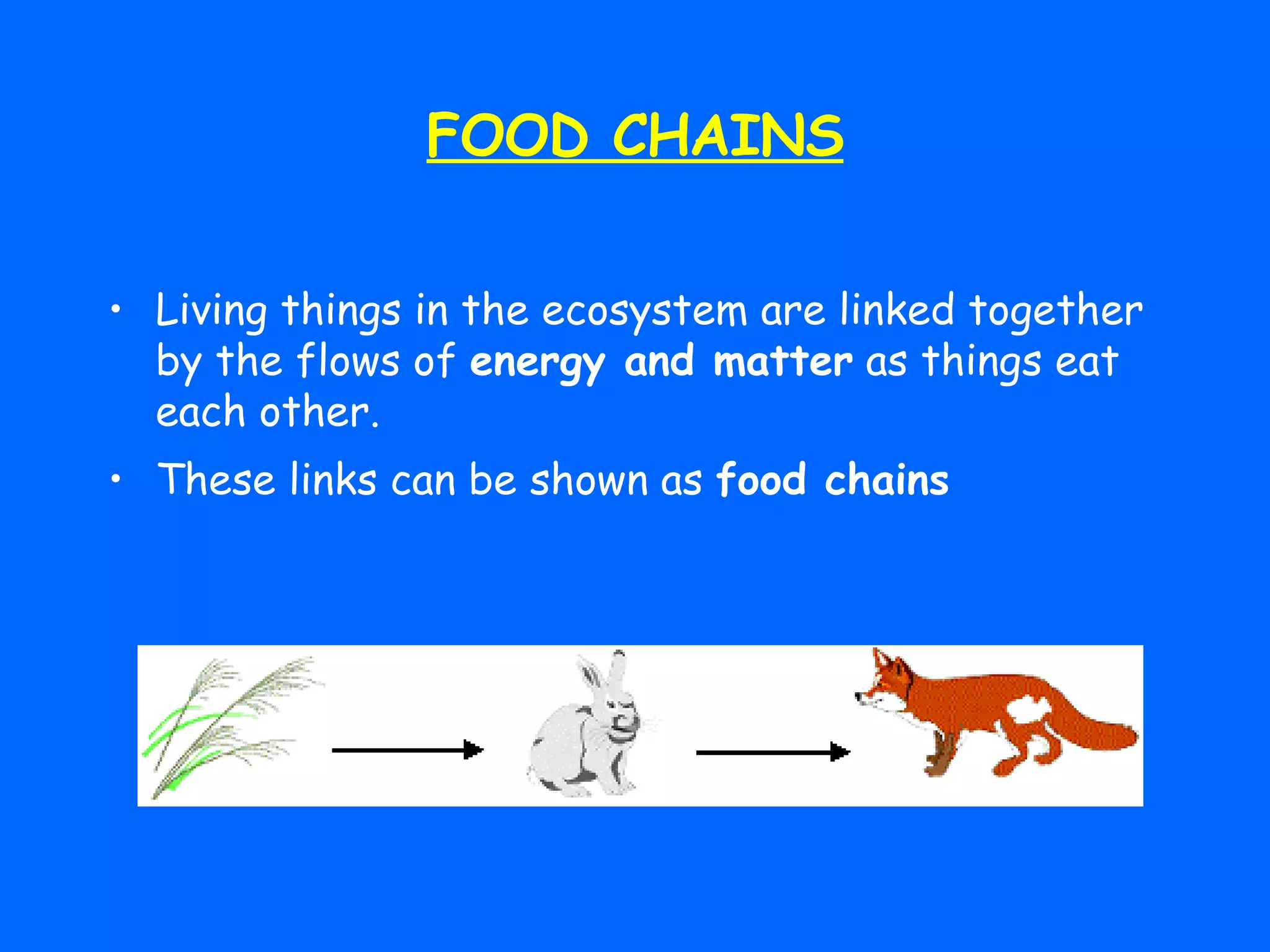 FOOD CHAINS Living things in the ecosystem are linked together by the flows of  energy and matter  as things eat each other. These links can be shown as  food chains 