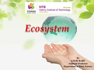 Ecosystem
By
J.SURI BABU
Assistant Professor
Department of Basic Science
 