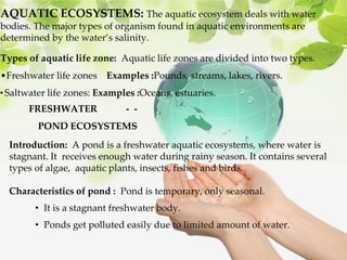 AQUATIC ECOSYSTEMS: The aquatic ecosystem deals with water
bodies. The major types of organism found in aquatic environments are
determined by the water’s salinity.
Types of aquatic life zone: Aquatic life zones are divided into two types.
•Freshwater life zones Examples :Pounds, streams, lakes, rivers.
•Saltwater life zones: Examples :Oceans, estuaries.
FRESHWATER - -
POND ECOSYSTEMS
Introduction: A pond is a freshwater aquatic ecosystems, where water is
stagnant. It receives enough water during rainy season. It contains several
types of algae, aquatic plants, insects, fishes and birds.
Characteristics of pond : Pond is temporary, only seasonal.
• It is a stagnant freshwater body.
• Ponds get polluted easily due to limited amount of water.
 