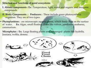 Structure and functions of pond ecosystems
I. Abiotic components : Ex : Temperature, light, water and organic and inorganic
compounds
II. Biotic Components : Producers : These include green photosynthetic
organism. They are of two types.
• Phytoplankton : are microscopic aquatic plants, which freely float on the surface
of water. Ex: Algae, small floating plants like volvox, pandorina anabaena,
consmarium.
Microphytes : Ex: Large floating plants and submerged plants like hydrilla,
Jussiaea, wolfia, demna.
 