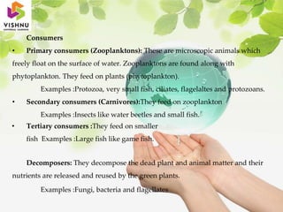 Consumers
• Primary consumers (Zooplanktons): These are microscopic animals which
freely float on the surface of water. Zooplanktons are found along with
phytoplankton. They feed on plants (phytoplankton).
Examples :Protozoa, very small fish, ciliates, flagelaltes and protozoans.
• Secondary consumers (Carnivores):They feed on zooplankton
Examples :Insects like water beetles and small fish.
• Tertiary consumers :They feed on smaller
fish Examples :Large fish like game fish.
Decomposers: They decompose the dead plant and animal matter and their
nutrients are released and reused by the green plants.
Examples :Fungi, bacteria and flagellates
 
