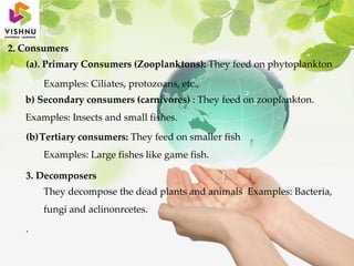 2. Consumers
(a). Primary Consumers (Zooplanktons): They feed on phytoplankton
Examples: Ciliates, protozoans, etc.,
b) Secondary consumers (carnivores) : They feed on zooplankton.
Examples: Insects and small fishes.
(b)Tertiary consumers: They feed on smaller fish
Examples: Large fishes like game fish.
3. Decomposers
They decompose the dead plants and animals Examples: Bacteria,
fungi and aclinonrcetes.
.
 