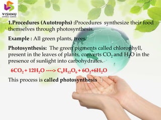 1.Procedures (Autotrophs) :Procedures synthesize their food
themselves through photosynthesis.
Example : All green plants, trees.
Photosynthesis: The green pigments called chlorophyll,
present in the leaves of plants, converts CO2 and H2O in the
presence of sunlight into carbohydrates.
6CO2 + 12H2O ----> C6H12O6 + 6O2+6H2O
This process is called photosynthesis
 