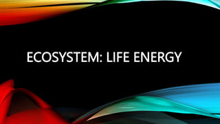 ECOSYSTEM: LIFE ENERGY
 