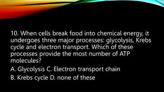 10. When cells break food into chemical energy, it
undergoes three major processes: glycolysis, Krebs
cycle and electron transport. Which of these
processes provide the most number of ATP
molecules?
A. Glycolysis C. Electron transport chain
B. Krebs cycle D. none of these
 