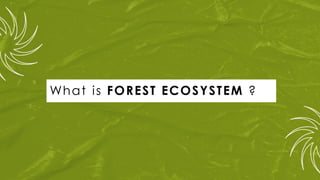 What is FOREST ECOSYSTEM ?
 