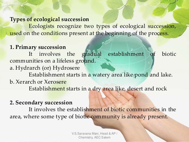  2 Types Of Ecological Succession What Is Ecological Succession 