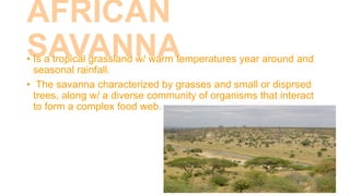 AFRICAN
SAVANNA
• Is a tropical grassland w/ warm temperatures year around and
seasonal rainfall.
• The savanna characterized by grasses and small or disprsed
trees, along w/ a diverse community of organisms that interact
to form a complex food web.
 