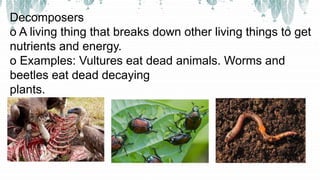 Decomposers
o A living thing that breaks down other living things to get
nutrients and energy.
o Examples: Vultures eat dead animals. Worms and
beetles eat dead decaying
plants.
 