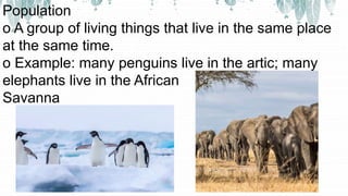 Population
o A group of living things that live in the same place
at the same time.
o Example: many penguins live in the artic; many
elephants live in the African
Savanna
 