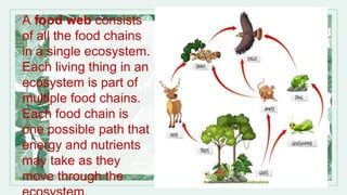 A food web consists
of all the food chains
in a single ecosystem.
Each living thing in an
ecosystem is part of
multiple food chains.
Each food chain is
one possible path that
energy and nutrients
may take as they
move through the
 