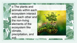 o The plants and
animals within each
ecosystem interact
with each other and
the non-living
elements of the
ecosystem like
climate,
precipitation, and
soil.
 
