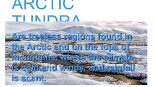 ARCTIC
TUNDRA
Are treeless regions found in
the Arctic and on the tops of
mountains, where the climate
is cold and windy, and rainfall
is scant.
 