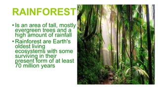 RAINFOREST
• Is an area of tall, mostly
evergreen trees and a
high amount of rainfall
• Rainforest are Earth's
oldest living
ecosystems with some
surviving in their
present form of at least
70 million years
 