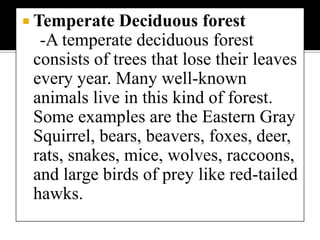Temperate deciduous forestTemperate Deciduous forest    -A temperate deciduous forest consists of trees that lose their leaves every year. Many well-known animals live in this kind of forest. Some examples are the Eastern Gray Squirrel, bears, beavers, foxes, deer, rats, snakes, mice, wolves, raccoons, and large birds of prey like red-tailed hawks. 