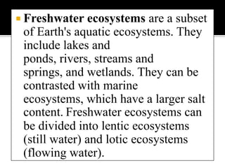 Marine ecosystems are among the largest of Earth's aquatic ecosystems. They include oceans, salt marsh and intertidal ecology, estuaries and lagoons, mangroves and coral reefs, the deep sea and the sea floor.
