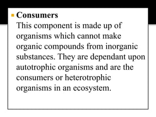 omnivores eat plant and animal material and can be primary, secondary and tertiary consumers simultaneously; a human being  is a good example of an omnivore.