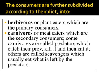 Fig.9An image of a human being(an           omnivore)