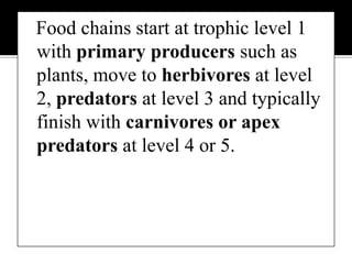 Fig.14The energy flow in an ecosystem.