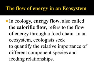 The 7 environmental principles