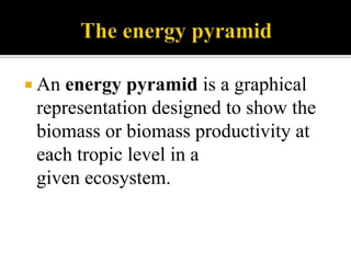    1. Nature knows best.2. All forms of life are important.3. Everything is connected to everything else.4. Everything changes.5. Everything must go somewhere.6. Ours is a finite earth.7. Nature is beautiful and we are stewardsof God’s creation.