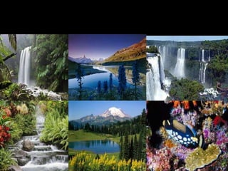 HS Science 2 (Biology) lesson-Ecosystem 