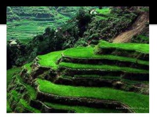 HS Science 2 (Biology) lesson-Ecosystem 