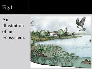 Types of Ecosystems1. Natural  Terrestrial ecosystem    