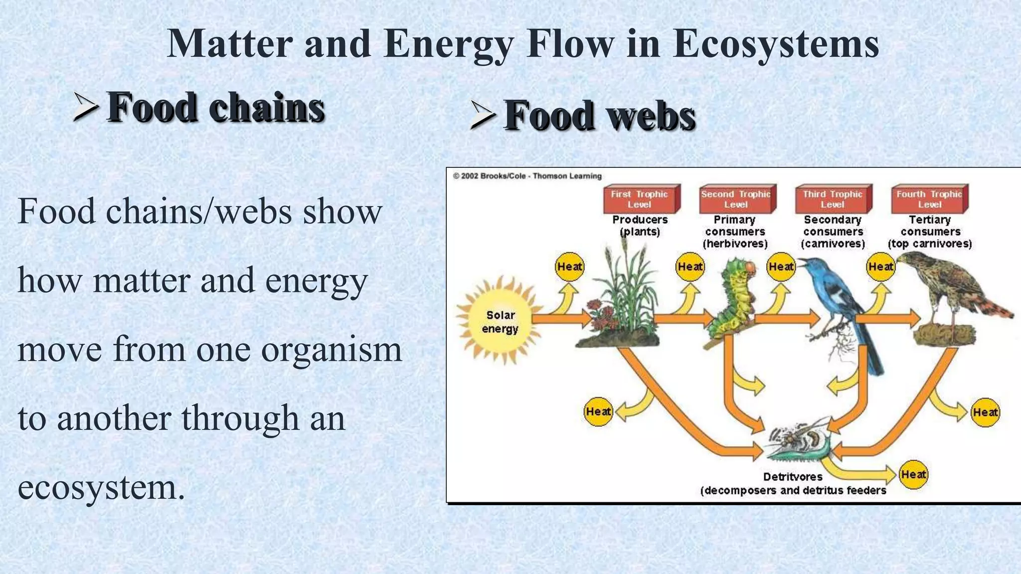 Matter and Energy Flow in Ecosystems
Food chains Food webs
Food chains/webs show
how matter and energy
move from one organism
to another through an
ecosystem.
 