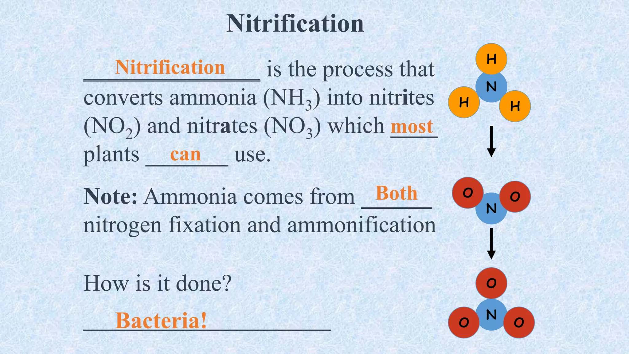 Nitrification
_______________ is the process that
converts ammonia (NH3) into nitrites
(NO2) and nitrates (NO3) which ____
plants _______ use.
Note: Ammonia comes from ______
nitrogen fixation and ammonification
How is it done?
_____________________ N
N
N
H
H
H
O O
O
O O
Nitrification
most
can
Both
Bacteria!
 
