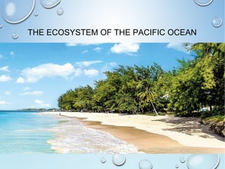 THE ECOSYSTEM OF THE PACIFIC OCEAN
 