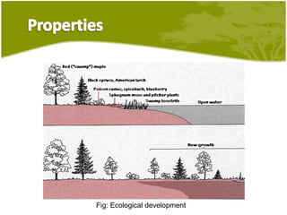 Ecosystem and biodiversity | PPTX