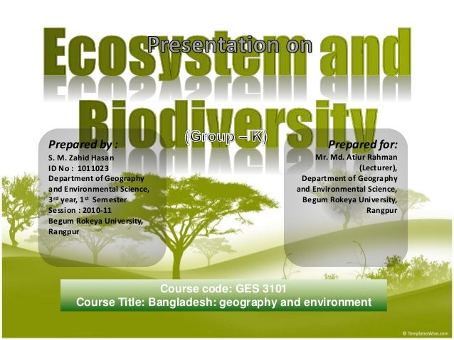 ecosystem and biodiversity components of ecosystem flow chart