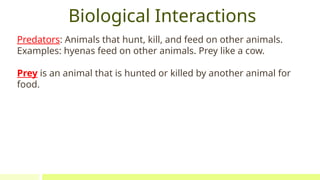 Comprehensive Overview of Ecosystem Interactions and Conservation | PPTX